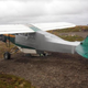 Illustration for article titled Bear Attacks Plane, Pilot Fixes Plane With Duct Tape, Pilot Flies Duct-Taped Plane Home